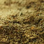 Agriculture & Food Tech