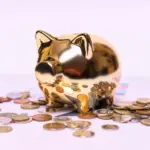 Finance & Accounting